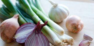 Aglio e cipolla in soffritto per proteggere contro il cancro al seno aglio_cipolla_porro