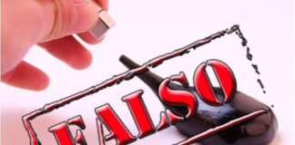 BUFALA: Cellula tumorale reagisce all’aglio Magnetic slime