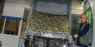 Artigiani ed industria anno nazionale del cibo