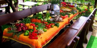 Anno nazionale del cibo, ora dobbiamo fare un’operazione verità anno nazionale del cibo