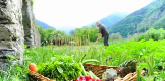 Attenzione a ciò che mangiamo! impresa artigiana del cibo