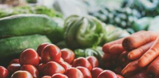 I metaboliti secondari dei fitofarmaci come metodo di controllo del biologico conservare frutta e verdura