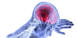 Scoperta molecola che blocca l’Alzheimer Alimenti che migliorano la memoria