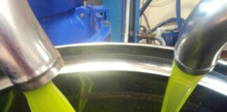 Documentazione accessoria sulla polemica della gara AGEA Come riconoscere un buon olio extra vergine d'oliva