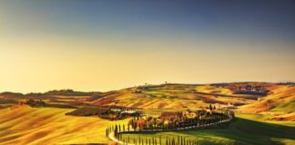 Aumenta la voglia di esperienze vitivinicole durante i viaggi Strade del vino