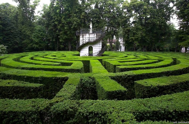 Il labirinto di Villa Pisani