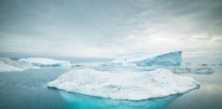 In Groenlandia il ghiaccio si scioglie in tempi record scioglimento dei ghiacciai