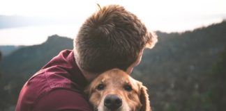 Rinnoviamo Moondo Animale cani