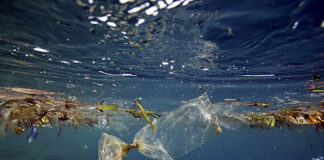 Greta la Qualunque Oceano plastica
