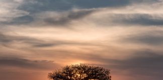 Le nazioni africane respingono amareggiate i nuovi divieti di viaggio viaggio in africa