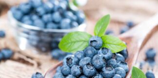 Frutta e verdura blu e viola per aiutare l’intestino bacche di acai