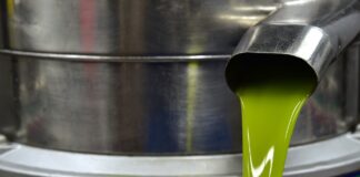 Il nostro DNA è positivamente influenzato da una dieta mediterranea ricca di olio di oliva e noci olio oliva e dna