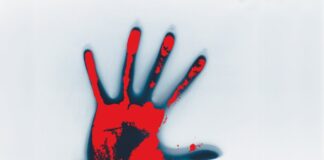 Agromafie: un business che vale 24,5 miliardi di euro agromafia