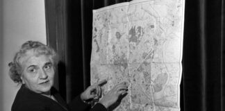 La Consulta salva la legge Merlin Legge Merlin