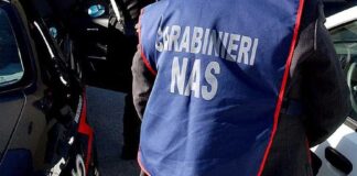 Metà dei ristoranti etnici in Italia presentano irregolarità carabinieri-nas