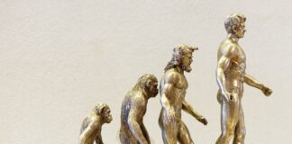 Ricercatori francesi hanno scoperto i resti del cugino dell’Homo sapiens Homo luzonensis