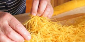 Canepina: Il Calice e la Stella il calice e la stella