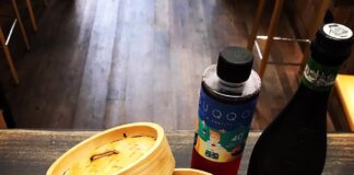 Torino: Mu Fusion Dumplings, ristorante cinese Mu Fusion Dumplings