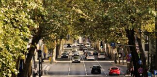 La strada verso le emissioni zero di anidride carbonica è lunga e tortuosa emissioni zero