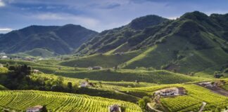 Il Prosecco, non solo vino ma una destinazione turistica per dare valore prosecco