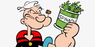 Salvini, gli spinaci ed il polacco Braccio-di-ferro-salvini