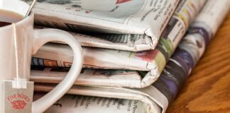 Il reddito di cittadinanza sui giornaloni italiani Giornali