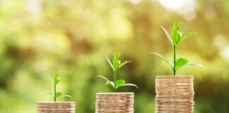 I modelli di business dell’Asset Management asset management