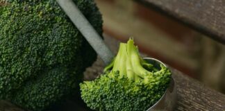 Nei broccoli è contenuta una sostanza che spegne il gene che aiuta il cancro broccoli contro il cancro