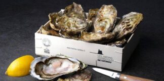 Torino: Ristorante SeaFood Torino: Ristorante SeaFood