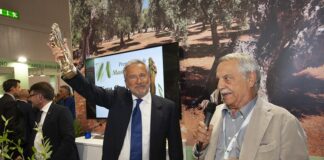 L’albo dei mastri oleari e un premio alla carriera Mastro d'oro Sodano