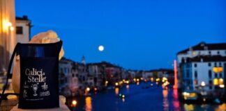 Calici di Stelle celebra il cinquantesimo anniversario dello sbarco sulla luna calici di stelle