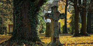 Cimiteri? Sono superati ecco le nuove soluzioni Cimitero