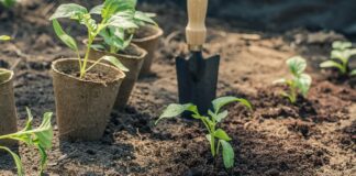 Gli artigiani: i narratori del cibo artigiani del cibo