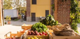 Milano: Cascina Gaggioli, la campagna in città cascina gaggioli