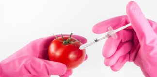 La chimica non si mangia chimica e cibo