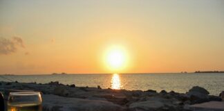 Le Doc vitivinicole italiane si affacciano spesso sul mare Doc vitivinicole italiane