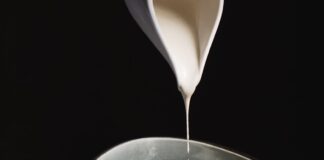 Torino: Soul Kitchen, Vegan & Raw Restaurant Soul-kitchen