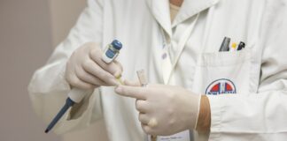 Un presunto caso di mucca pazza nel Trevigiano Un presunto caso di mucca pazza nel Trevigiano