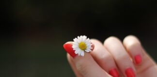 Nell’olio d’oliva il segreto per aver cura delle unghie e mantenerle in salute unghie