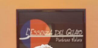 Torino: L’Essenza del Gelato Torino: L'Essenza del Gelato