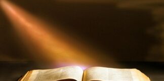 La vitamina V vangelo