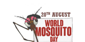 Oggi è il World Mosquito Day: ogni anno la zanzara uccide oltre 700.000 persone world_mosquito_day