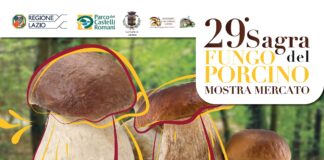 Sagra del Fungo Porcino a Lariano dal 12 al 22 settembre Dal 12 al 22 settembre va in scena la 29esima Sagra del Fungo Porcino a Lariano.