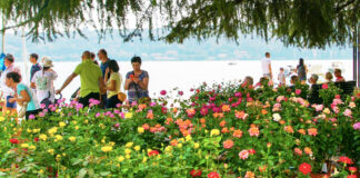 Salò Garda Flowers presso il Lungolago di Salò presso il Lungolago di Salò torna "Salò Garda Flowers"