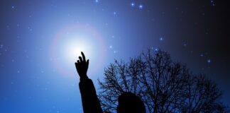 Palomar e la contemplazione delle stelle Palomar e la contemplazione delle stelle