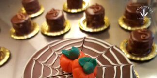 Roma: Il Gianfornaio, forno e pasticceria Roma: Il Gianfornaio, forno e pasticceria