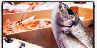 Torino: Pescheria Gallina Torino: Pescheria Gallina