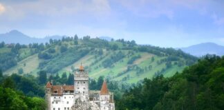 Anche il Conte Dracula era un amante dell’olio d’oliva dracula