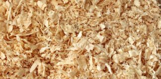 Trasformare gli scarti di legno in ingredienti farmaceutici a basso impatto ambientale legno