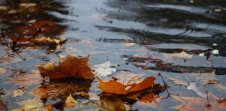 Novembre e la pioggia e un’Italia che fatica a trovare buon senso e condivisione novembre